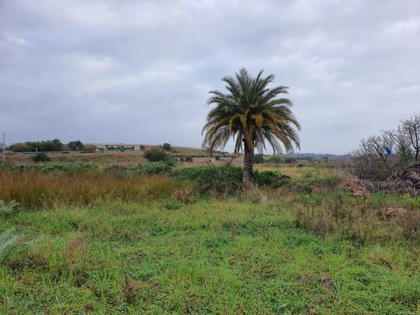 Photo number 8. Land / Ground for sale  in Pedreguer. Ref.: SLH-5-36-14683