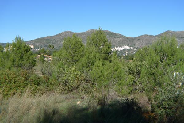 Grundstück zu verkaufen  in Jalón / Xaló Costablanca, Alicante (Spanien). Ref.: PRT-266322