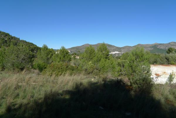 Fotografia nº2 del solar / terreno en Venta en Jalón / Xaló. Ref.: PRT-266322
