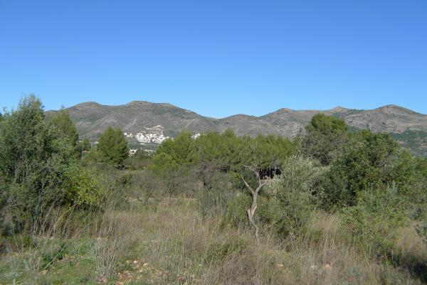 Fotografia nº9 del solar / terreno en Venta en Jalón / Xaló. Ref.: PRT-266322