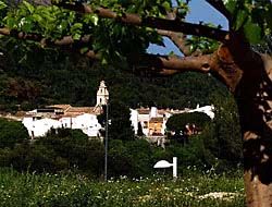 Аренда и продажа квартир, домов и участков в Benichembla (Испания)